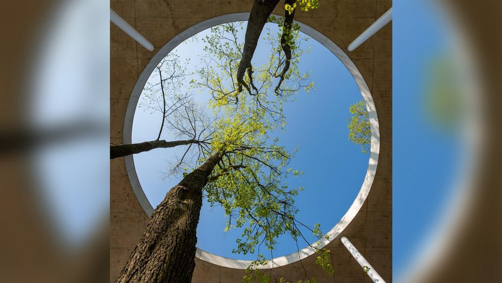 How wealth manager redefine the purpose of capital | unisg.ch